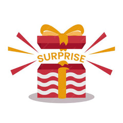 Add Surprise Earrings Worth RS 399 in Just RS 99 HURRY UP