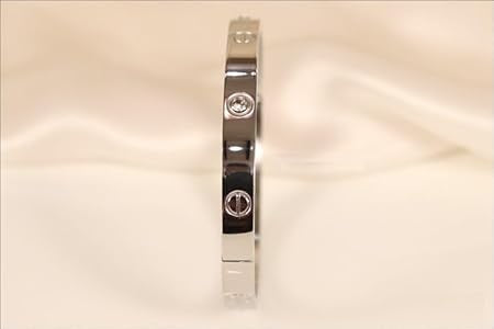 Silver Stainless With Zircon